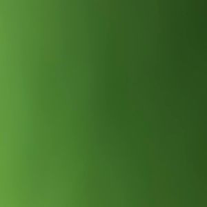 Meet your Posher, Duncan